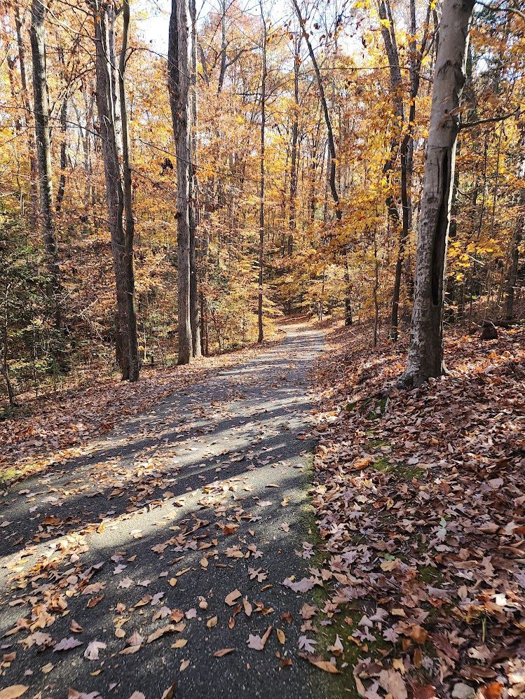 rockwood park trail richmond va