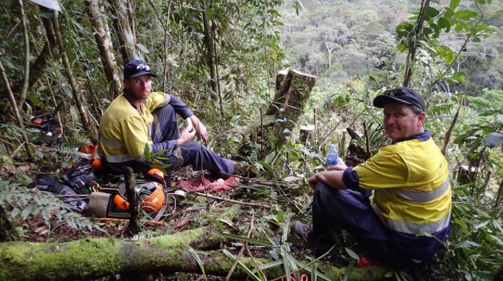 Arborists Taking a Break After Chopping Down a Tree — Arafura Tree Services and Consulting in Pinelands, NT Arborists Taking a Break After Chopping Down a Tree — Arafura Tree Services and Consulting in Pinelands, NT
