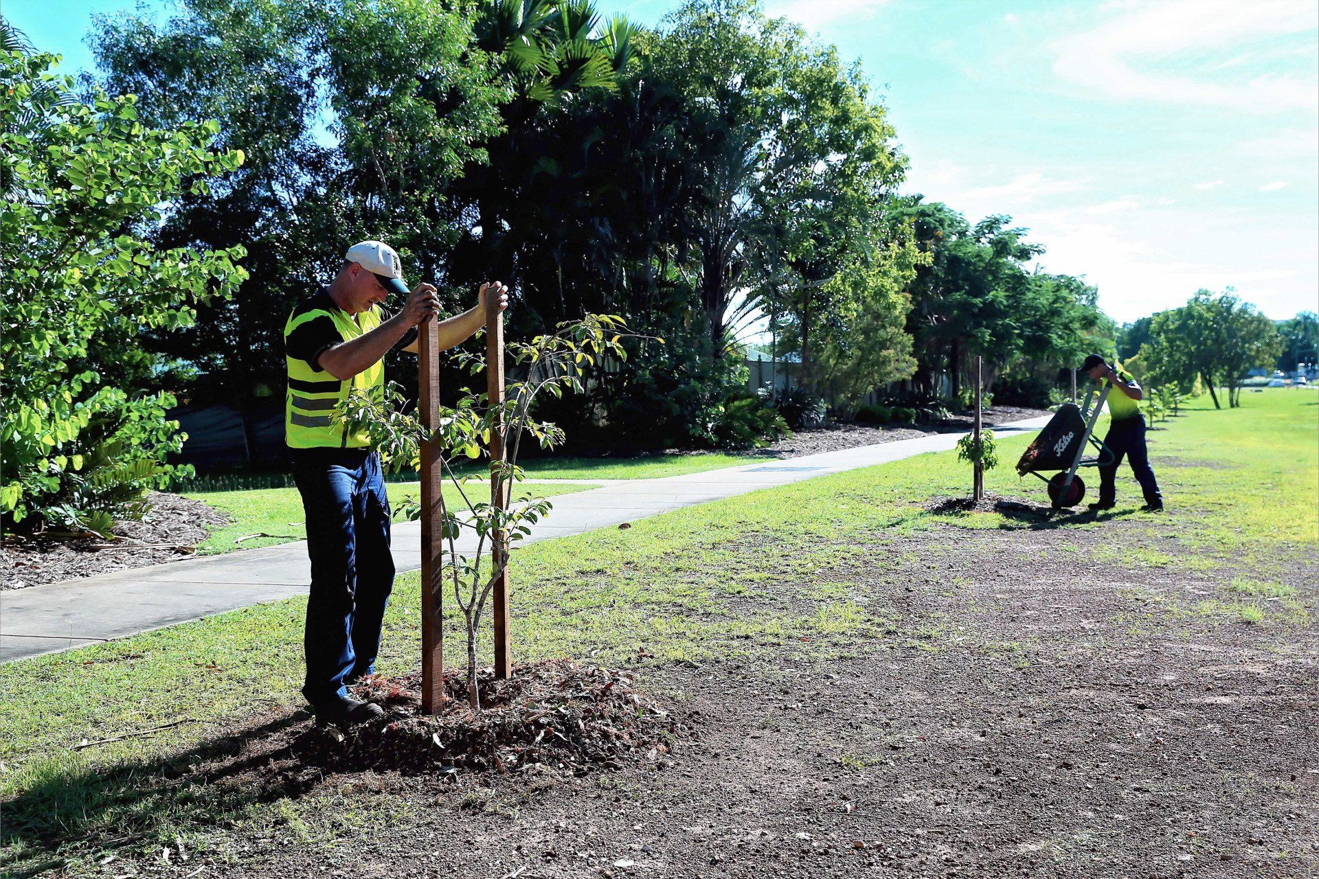 Burning of Dried Branches — Arafura Tree Services and Consulting in Pinelands, NT