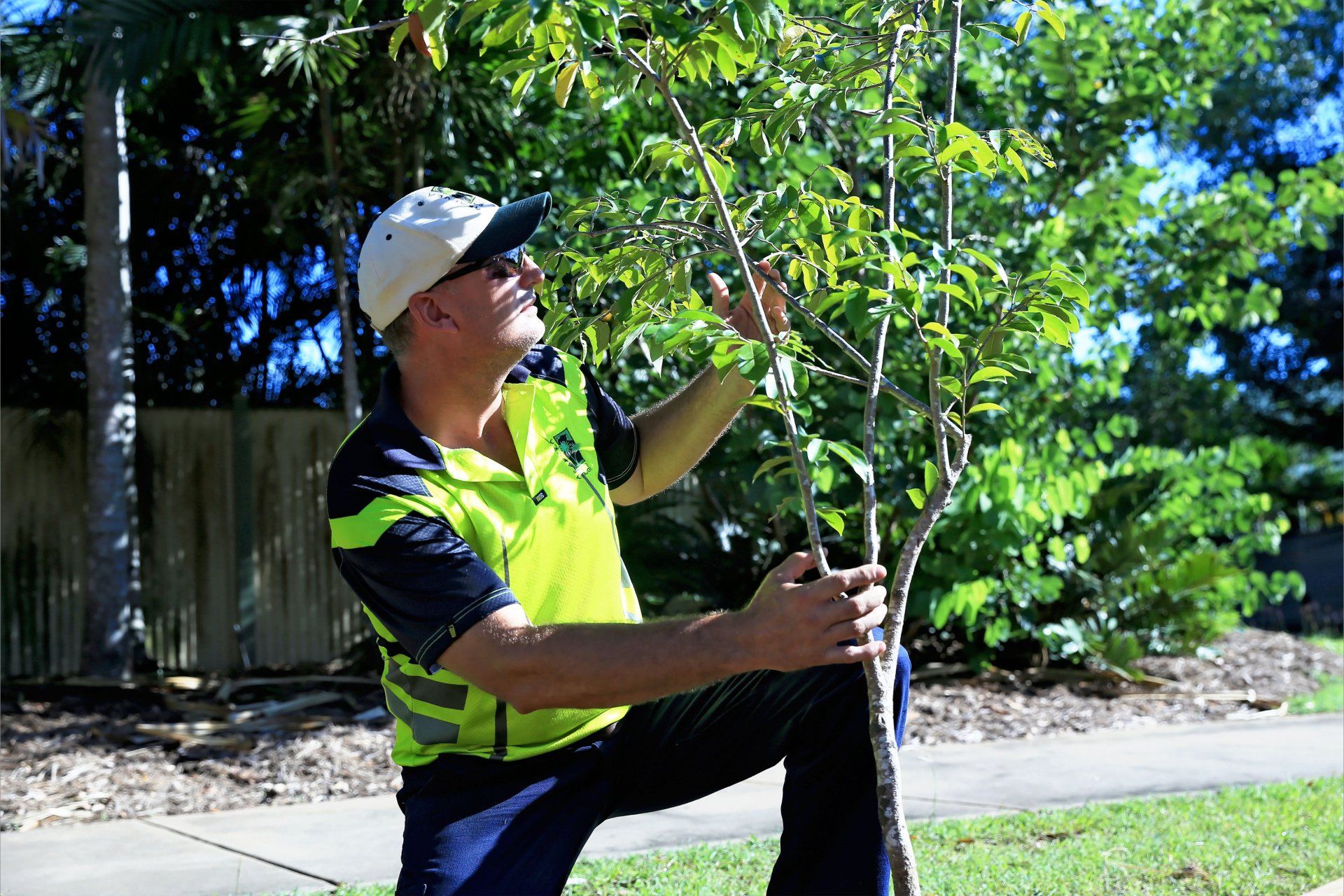Arborists In Darwin — Arafura Tree Services and Consulting in Pinelands, NT Arborists In Darwin — Arafura Tree Services and Consulting in Pinelands, NT