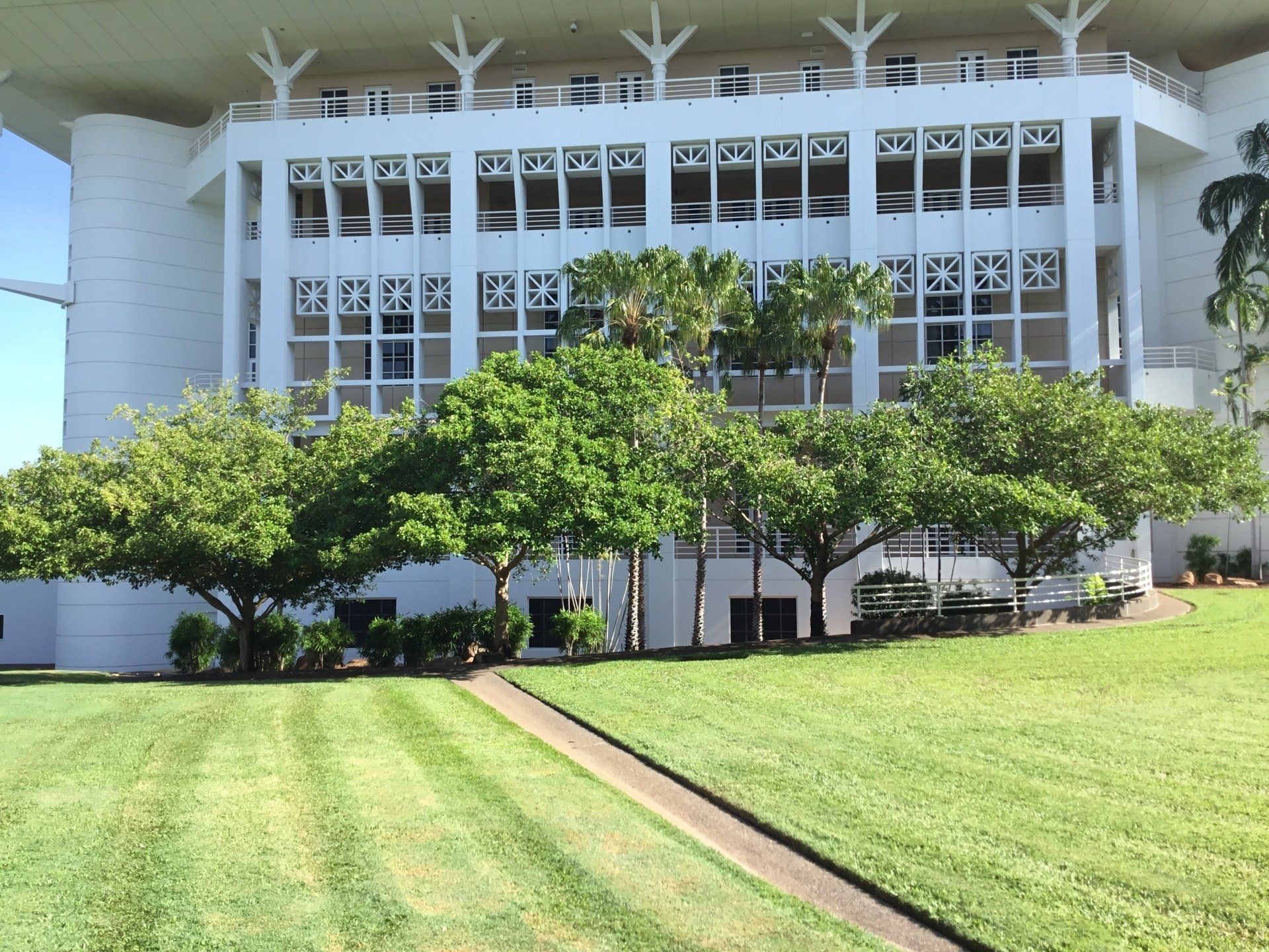 Tree Cutting Service — Arafura Tree Services and Consulting in Pinelands, NT