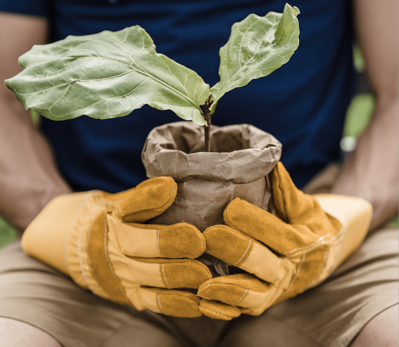 ATA Winner — Arafura Tree Services and Consulting in Pinelands, NT