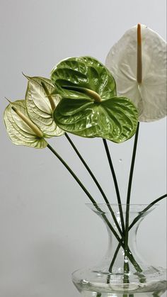 Bouquet Name 3