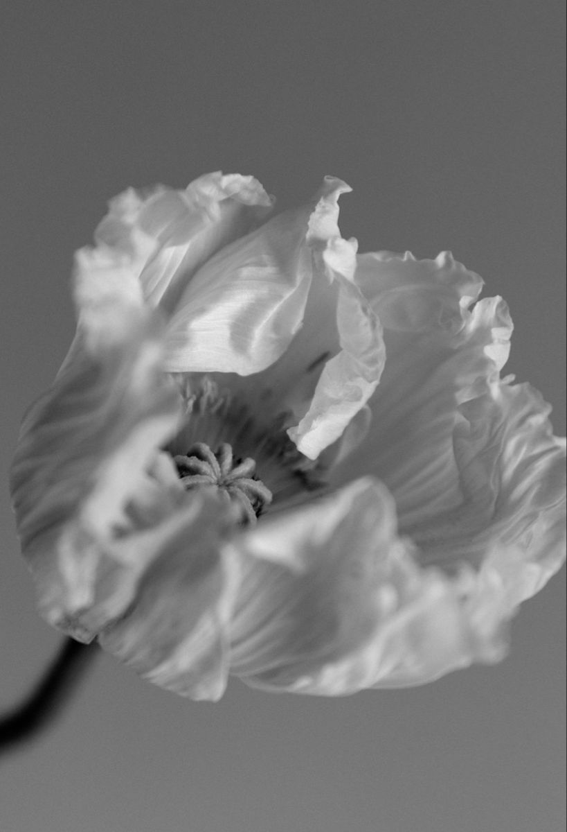 Bouquet Name 6