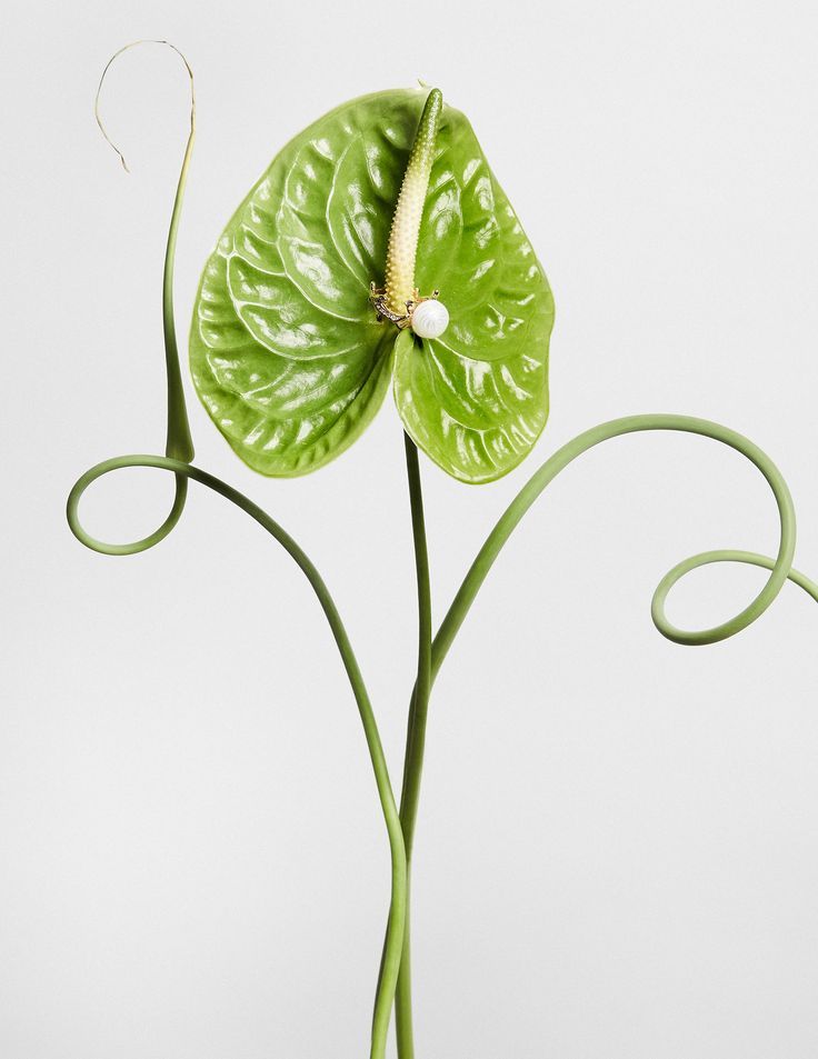 Bouquet Name 3