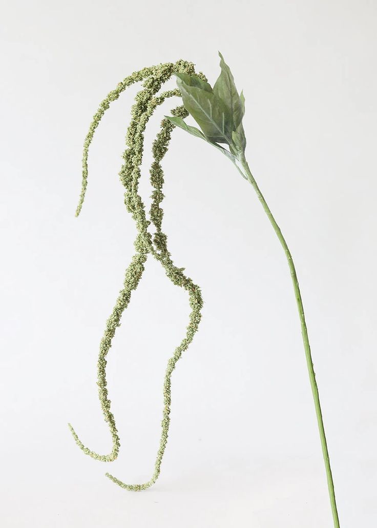 Bouquet Name 5