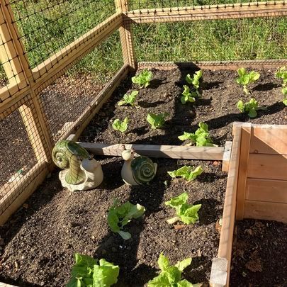 garden