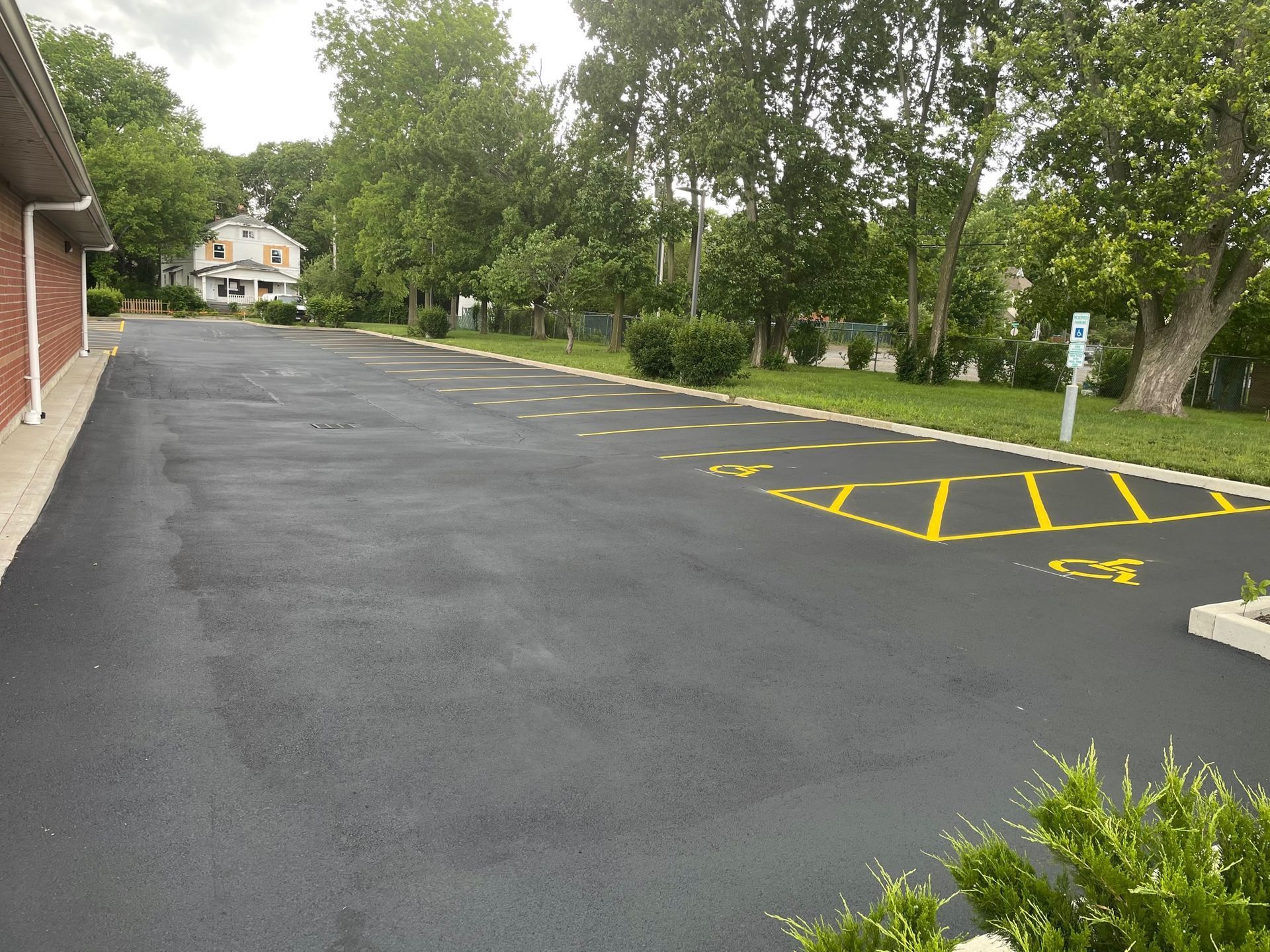 Empty parking lot with fresh black asphalt, yellow marked spaces, and trees along the edge