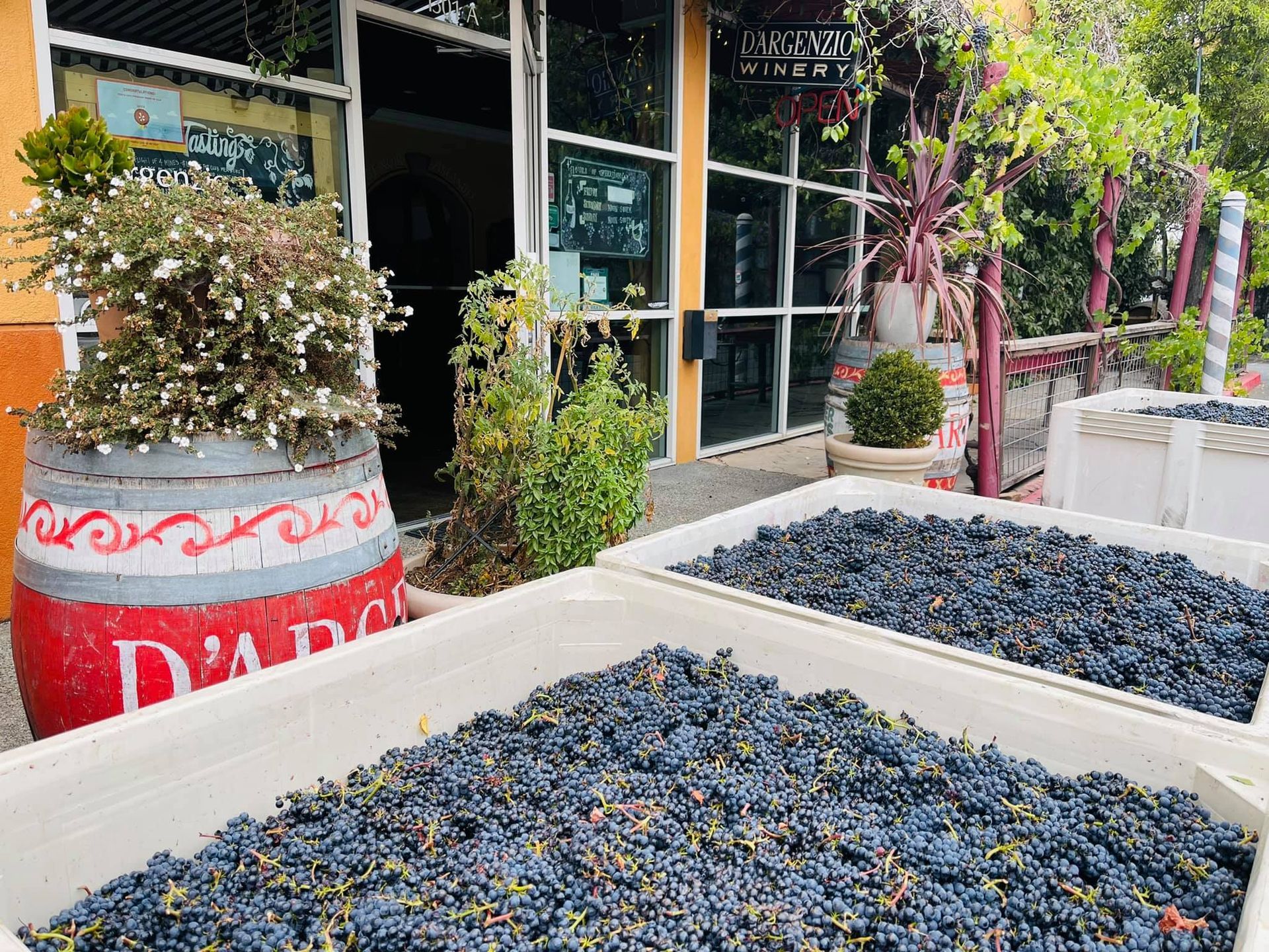 boutique winery