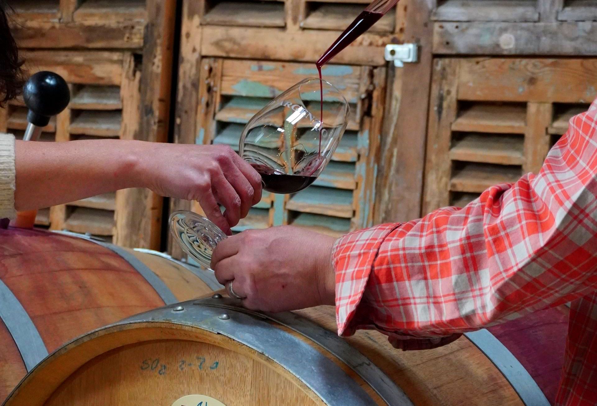 barrel tasting santa rosa sonoma county boutique winery best wines award winning