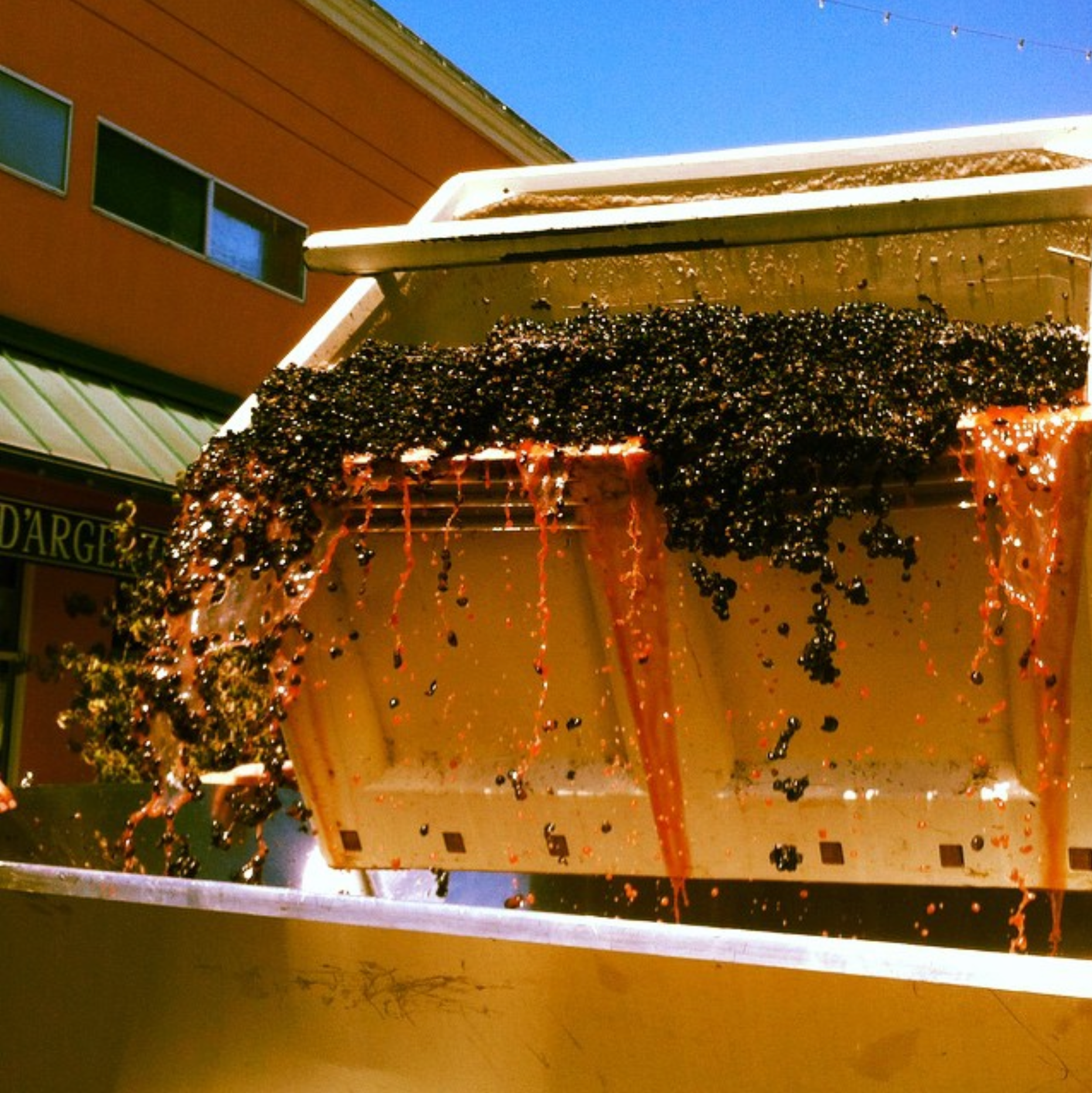 sonoma county winemaking boutique winery