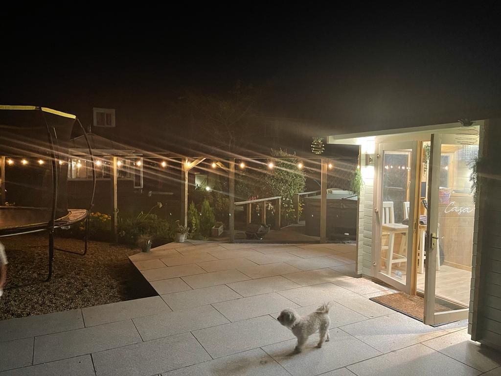 Dog in a lighted backyard at night with string lights, patio, and a shed.