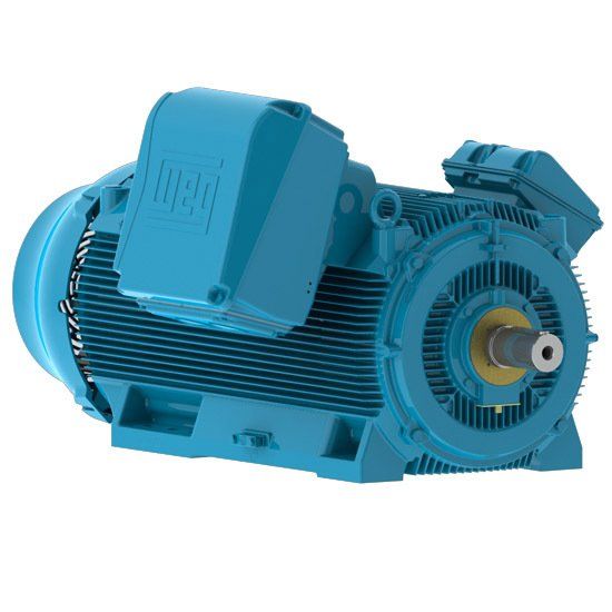 Motor Elétrico HGF - Manutronik Motores Elétricos