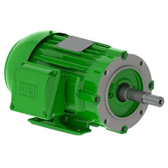 Motor Elétrico Motor para Bomba Monobloco - Manutronik Motores Elétricos