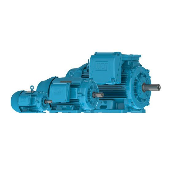 Motor Elétrico W22 Plus - Manutronik Motores Elétricos