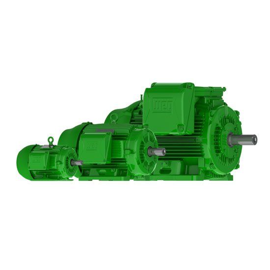 Motor Elétrico W22 Premium - Manutronik Motores Elétricos