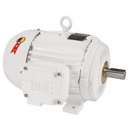 Motor Elétrico W Wash - Manutronik Motores Elétricos