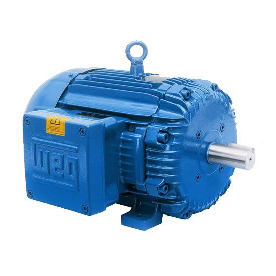 Motor à Prova de Explosão - Manutronik Motores Elétricos