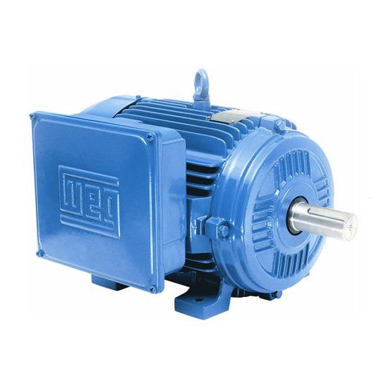 Motor Elétrico Motor Rural - Manutronik Motores Elétricos