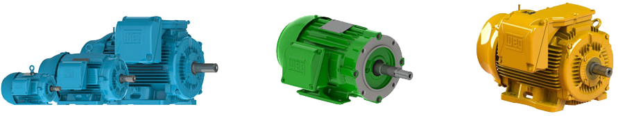 Centrifuga - Manutronik Motores Elétricos