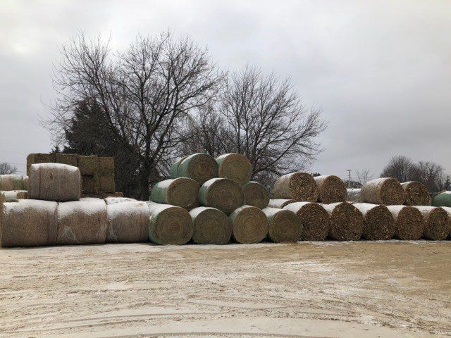 Hay bales stacked in a snowy farm field with leafless trees under a gray sky