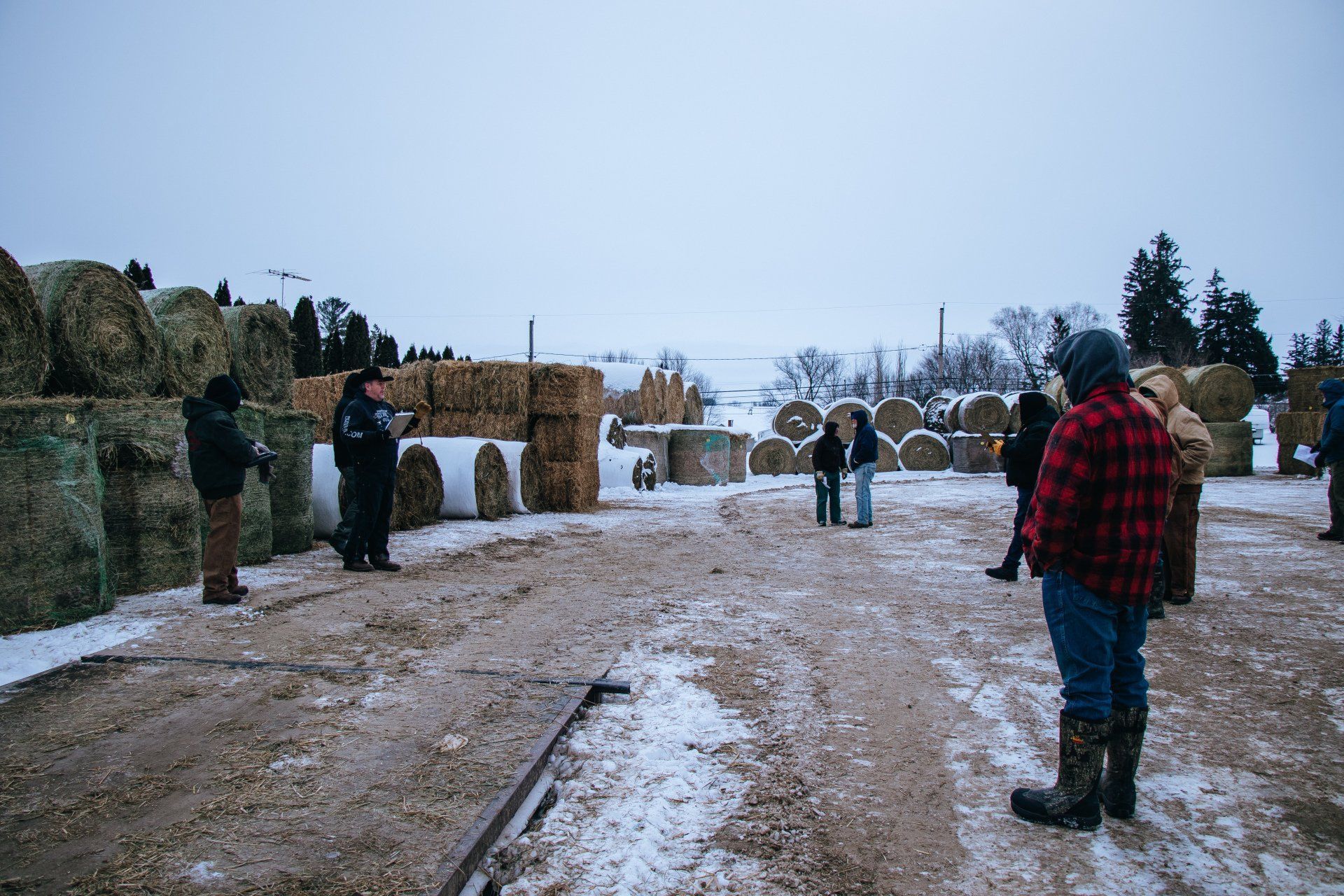 Snowy outdoor farm scene with people standing among hay bales and evergreen shrubs