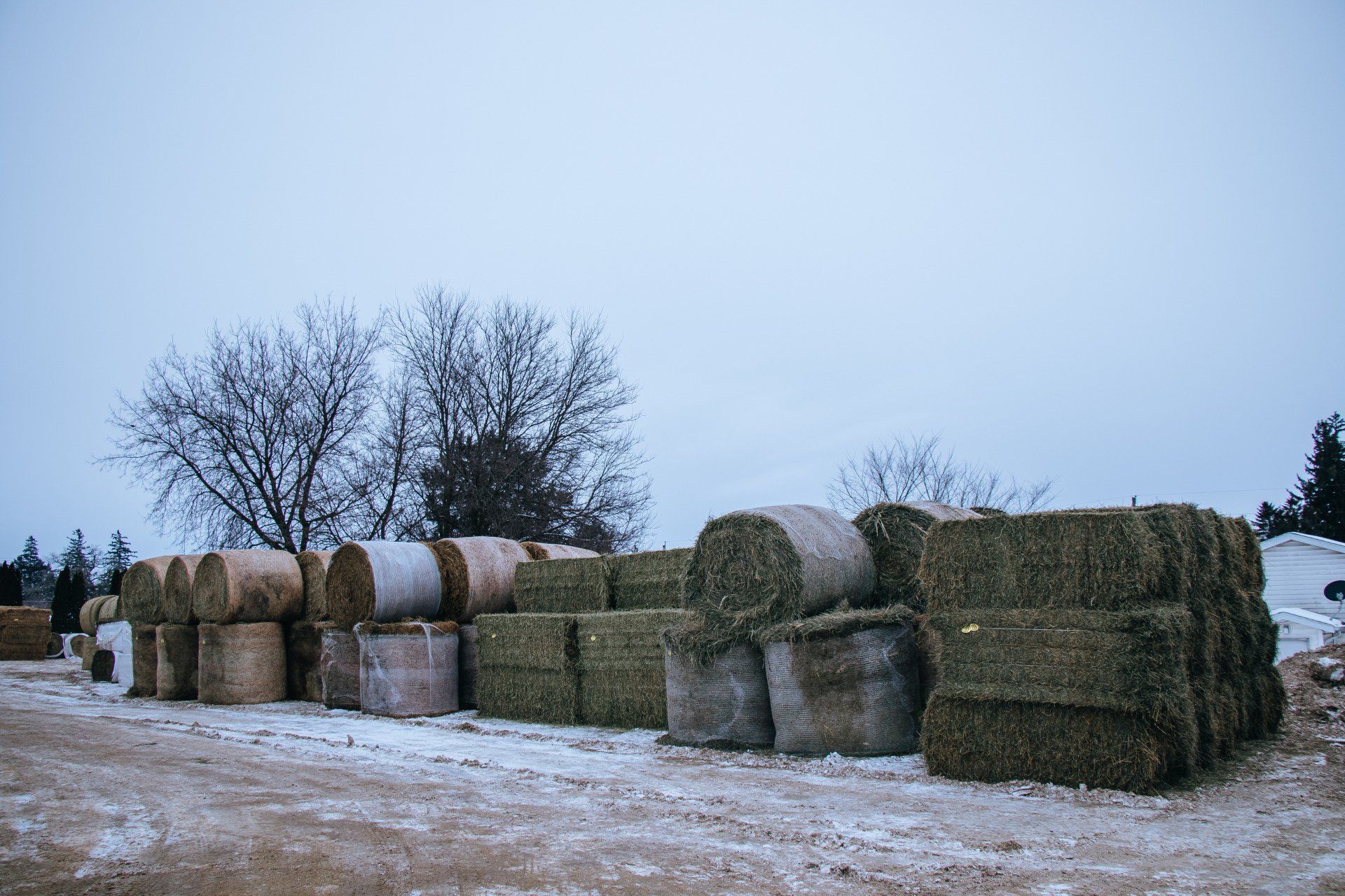 Hay bales stacked in a snowy field under a pale winter sky.