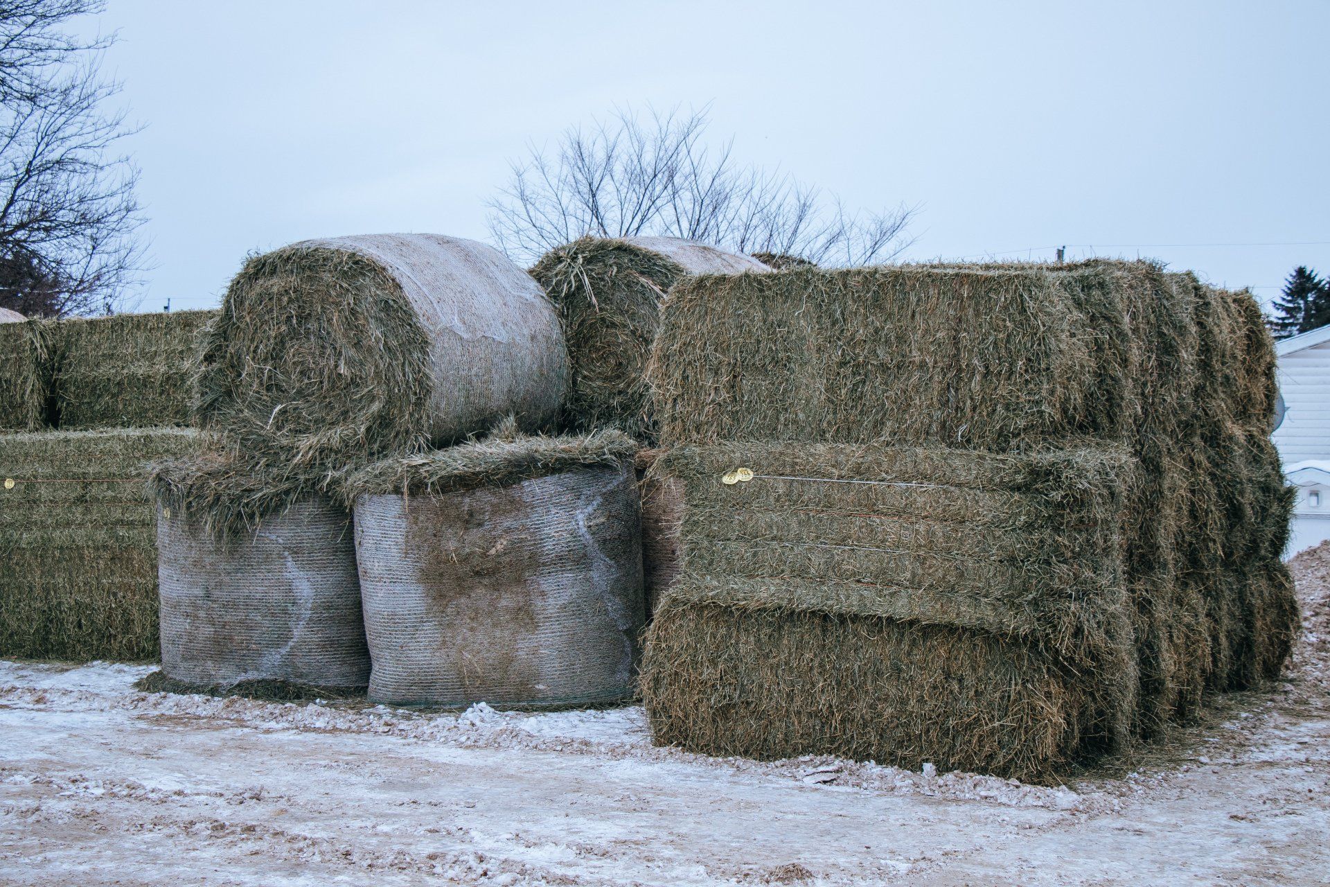Stacked hay bales in a snowy field under a pale blue sky.