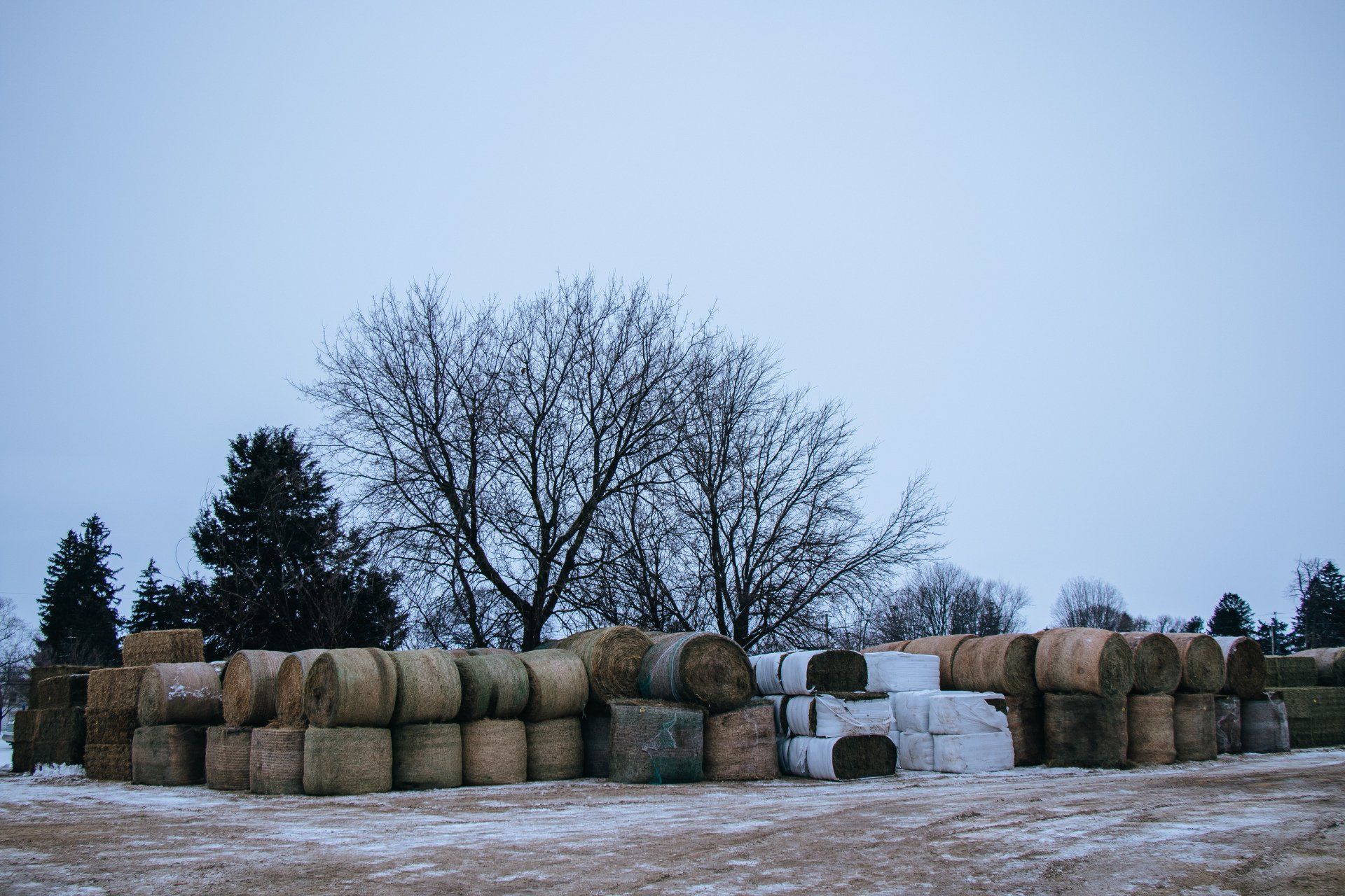 Snow-covered field with stacked hay bales and bare trees under a gray sky