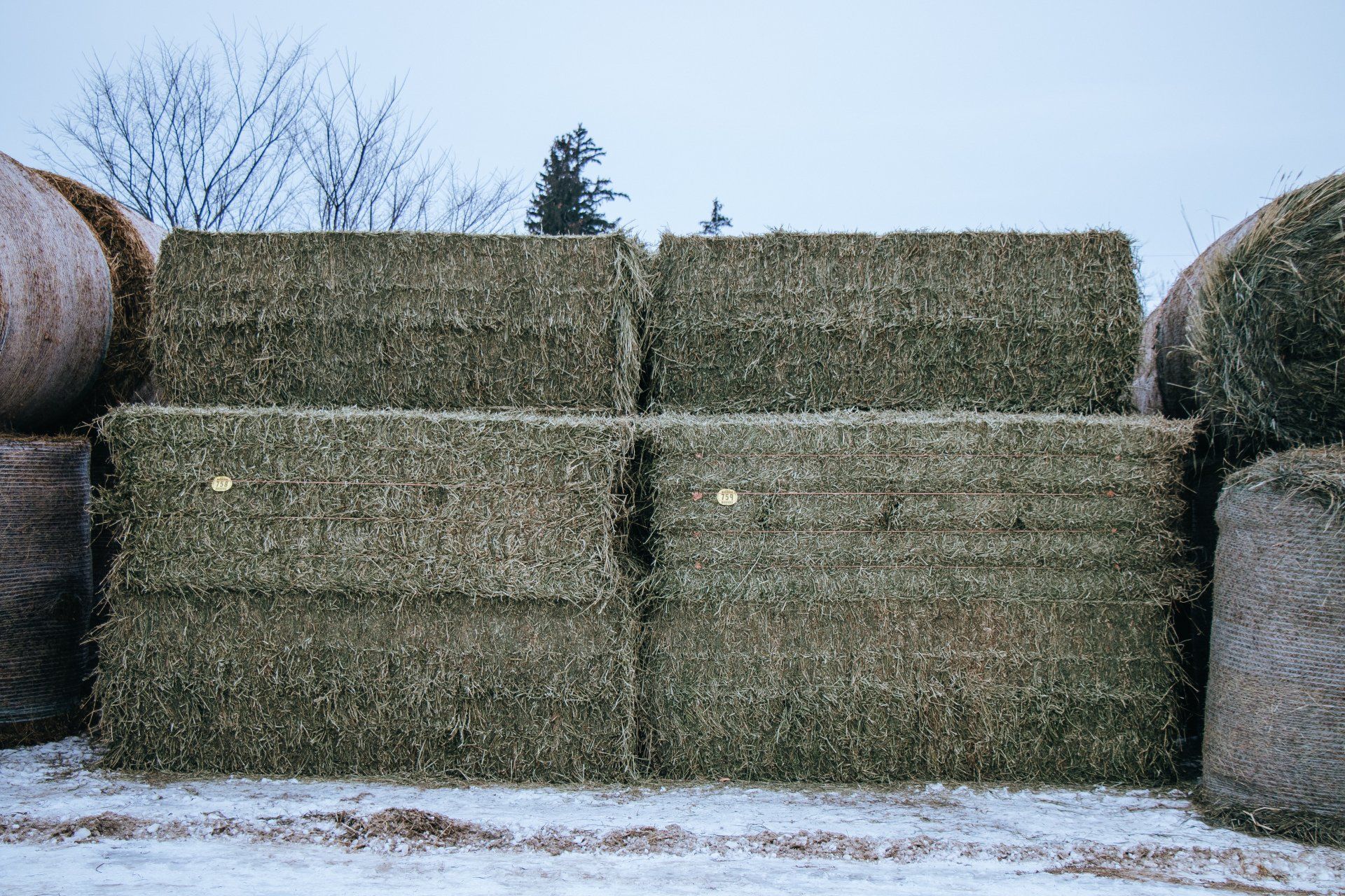 Stacked hay bales in a snowy field under a pale sky