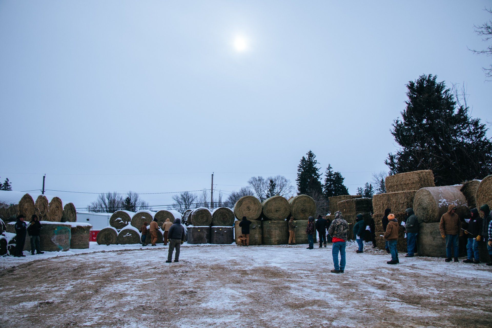 People standing in a snowy field near hay bales under a pale winter sky.