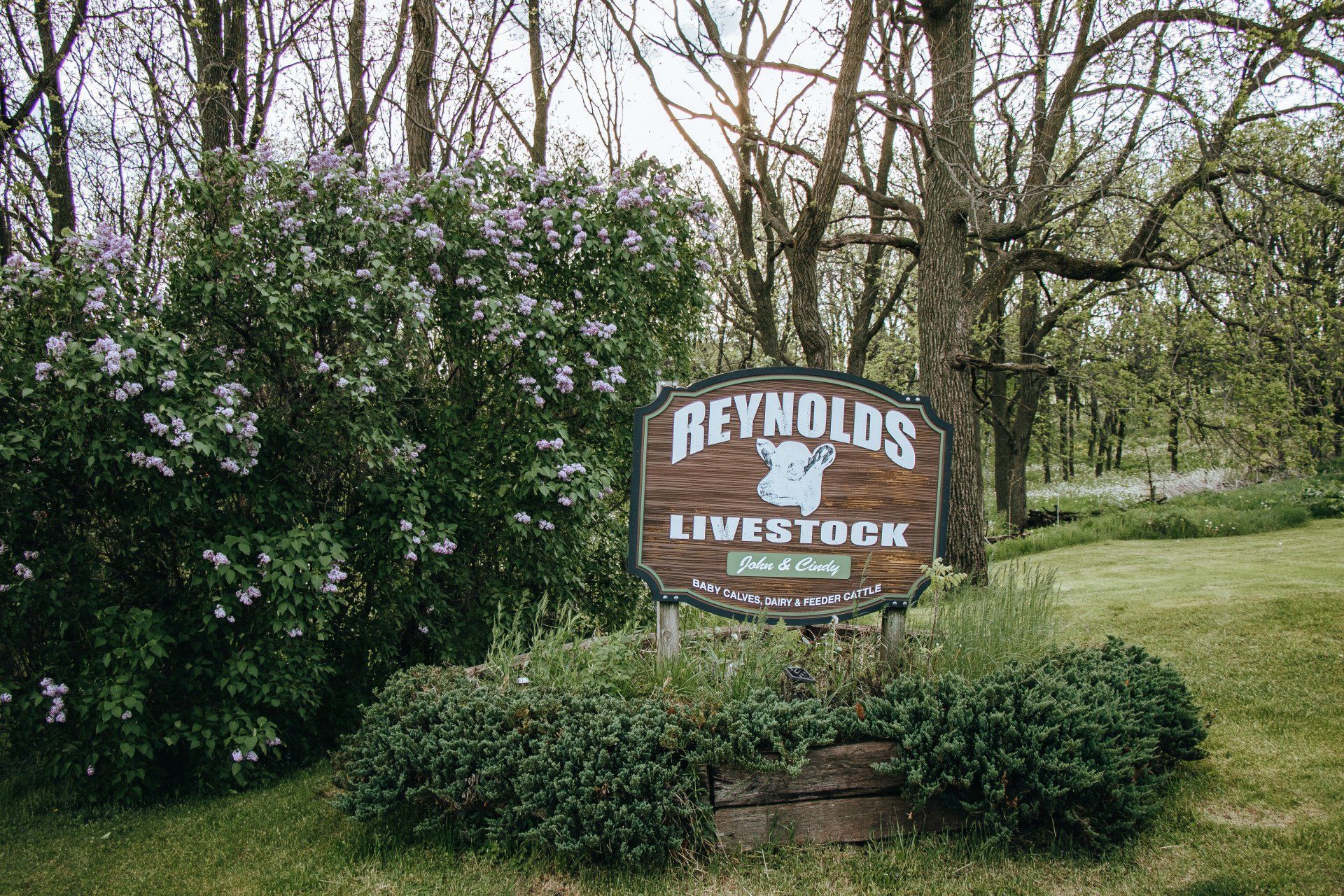 Reynolds Livestock sign beside a green hedge in a wooded rural setting