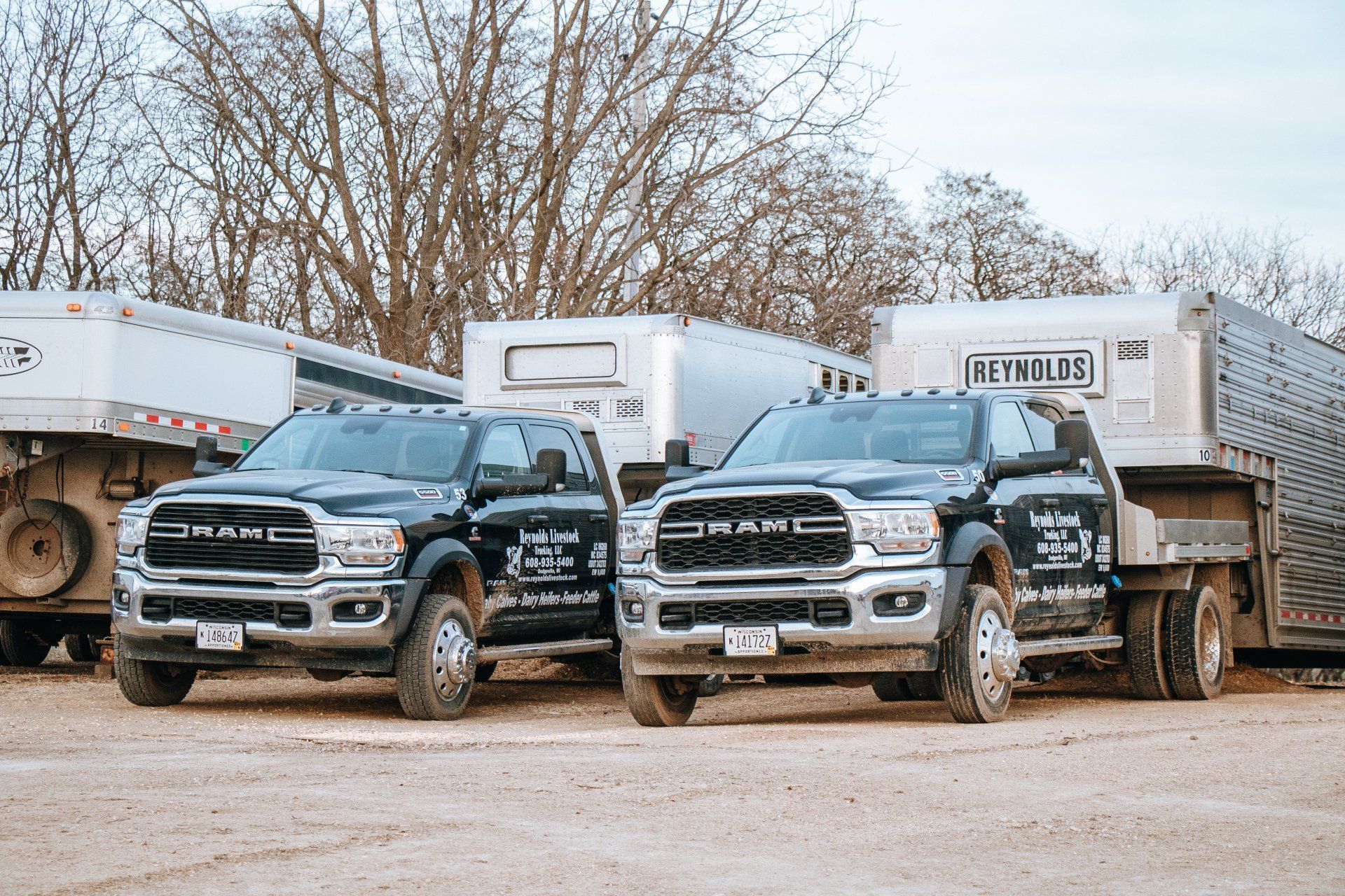 Two black dump trucks parked in a muddy lot with large white trucks behind them