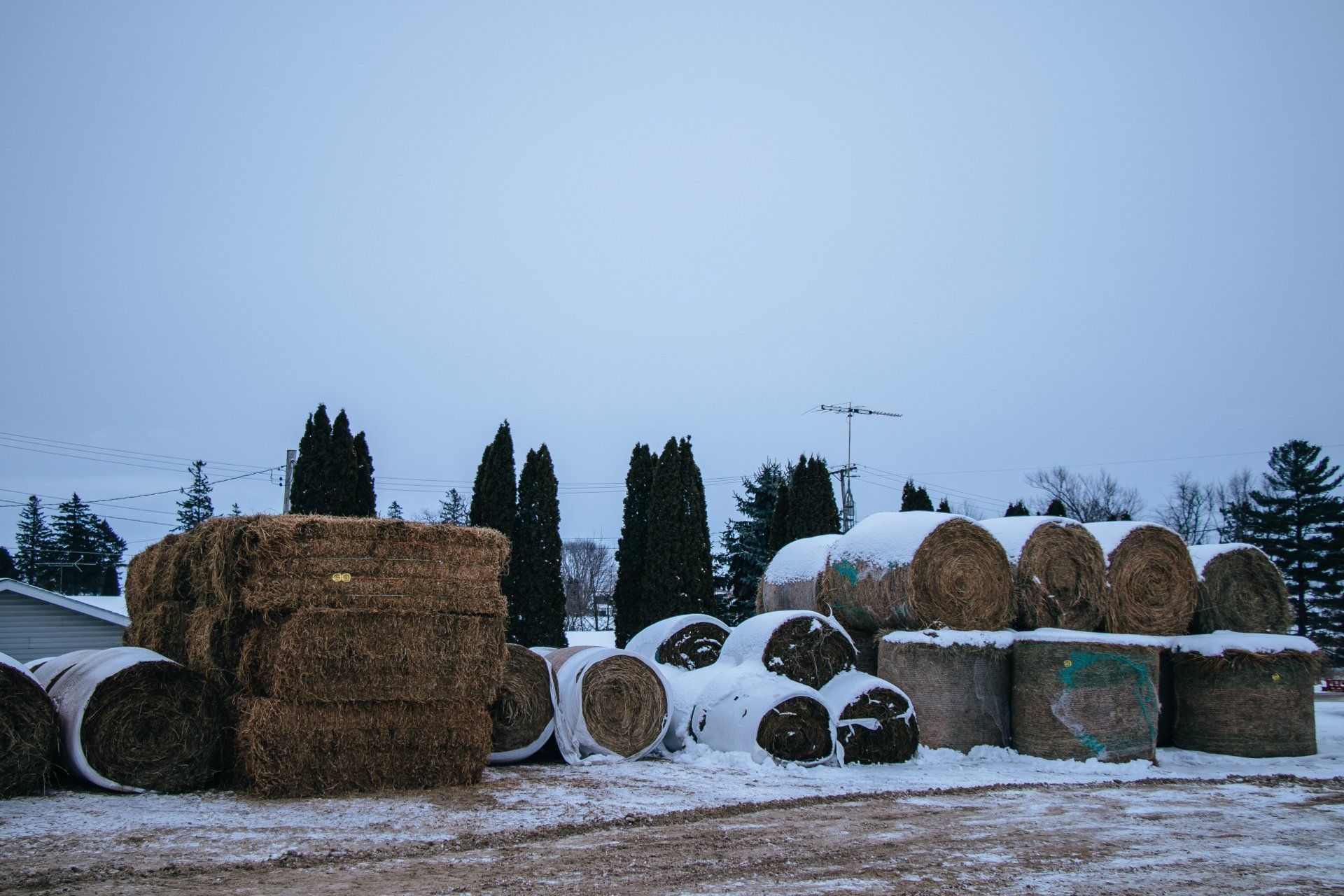 Hay bales stacked in a snowy field at dusk, with trees and utility poles in the background