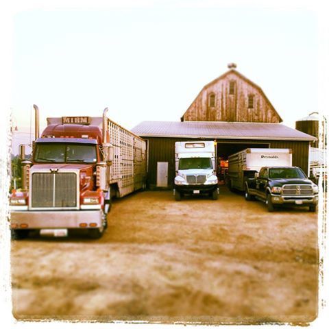 Semi-trucks and delivery vehicles parked outside a rustic barn on a dirt lot.