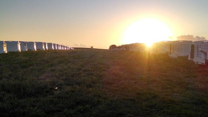 Sunset over a grassy field with a white fence and buildings silhouetted on the horizon
