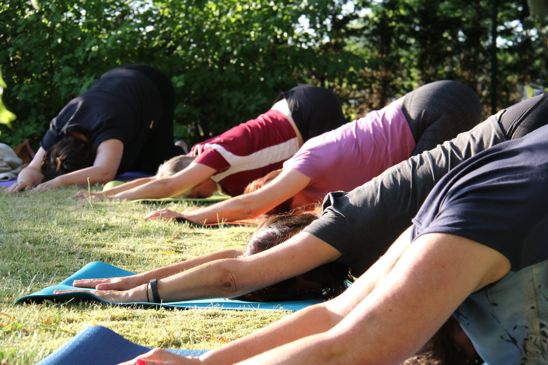 yoga wetenschappelijk