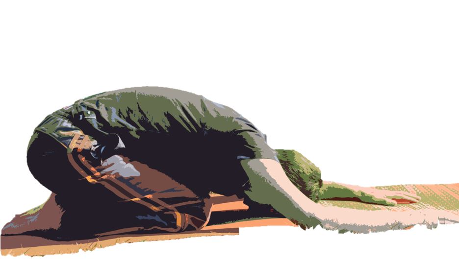 online yoga lessenreeks