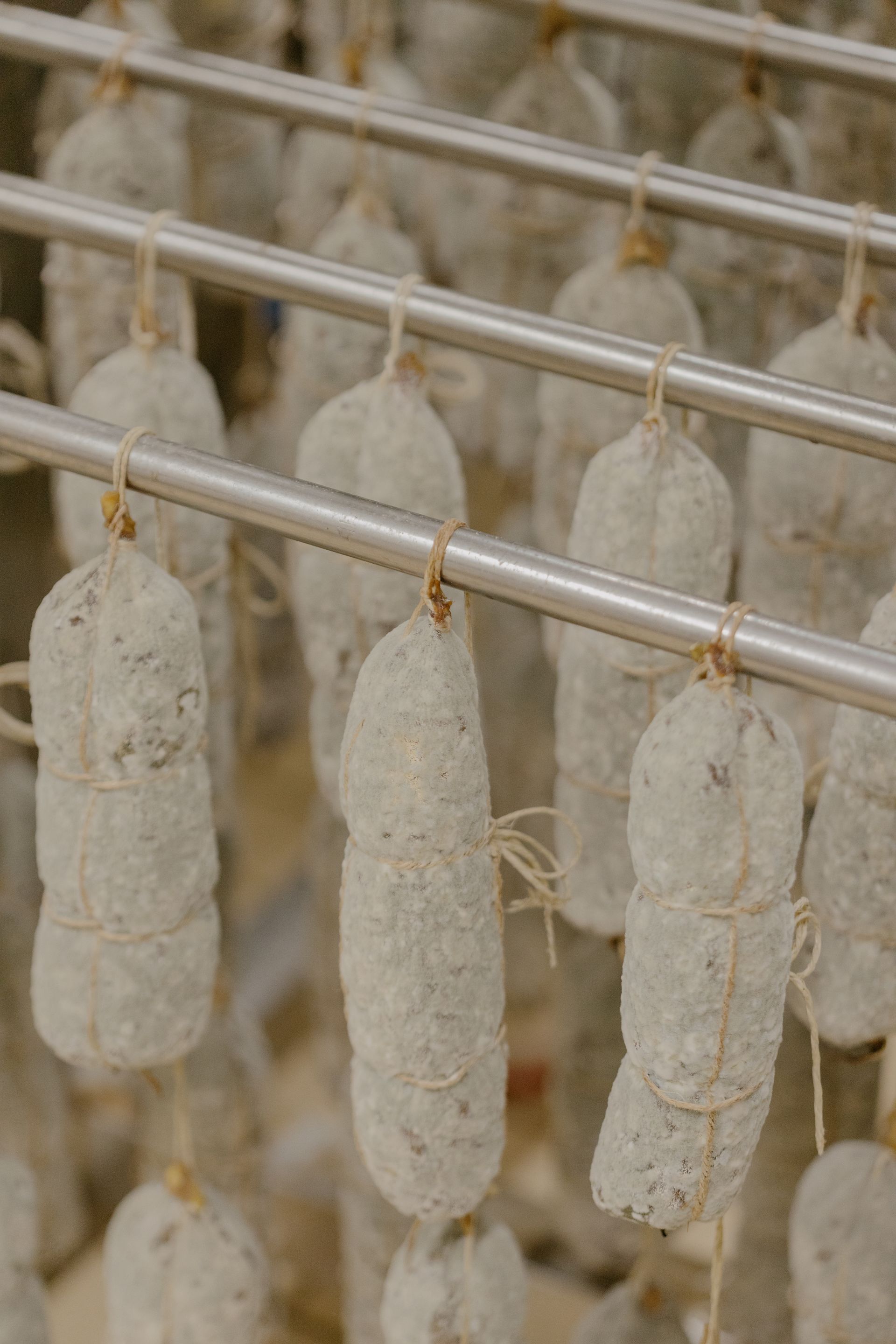 salami stagionati