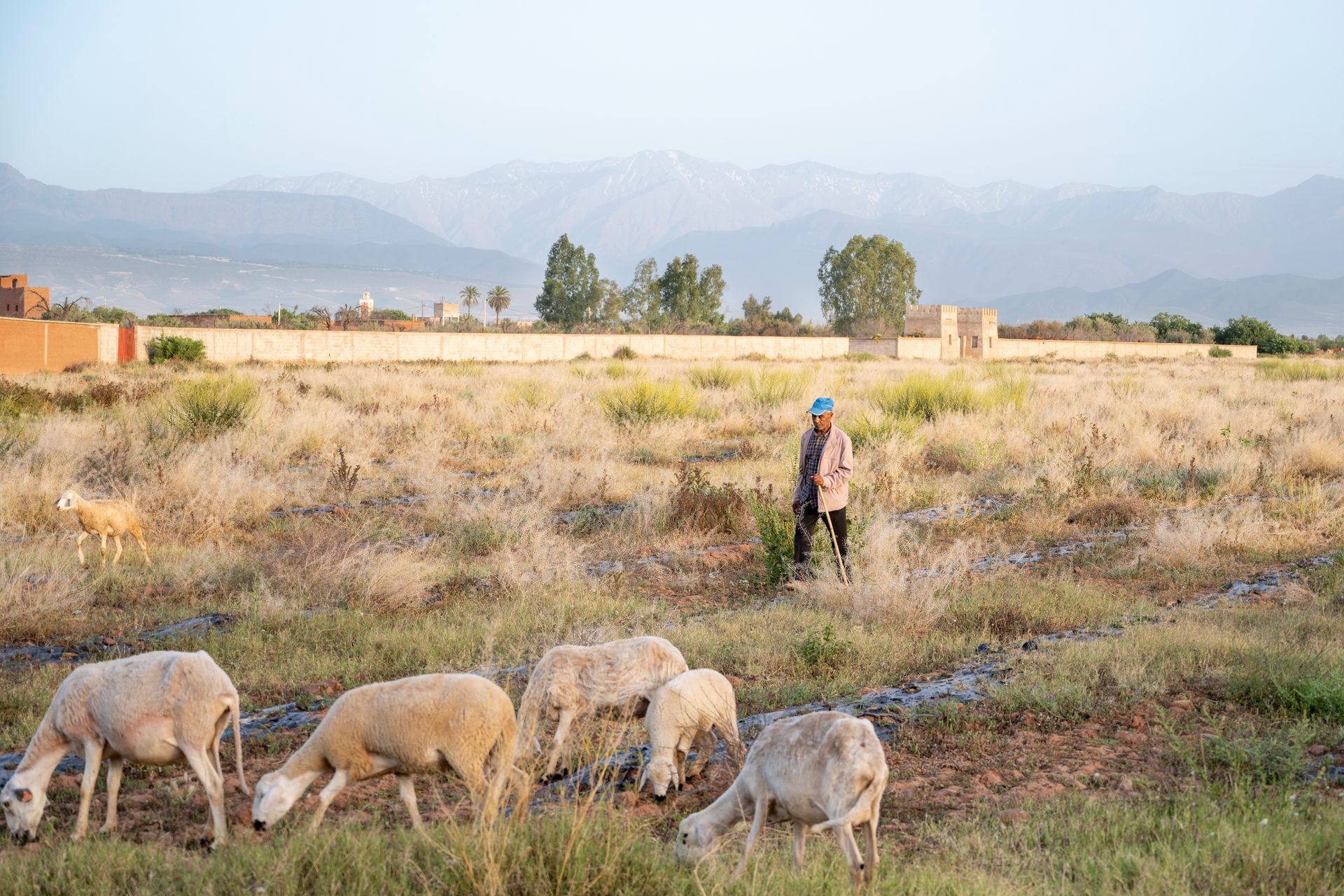 Berger et troupeau dans la campagne au pied du Haut Atlas, près de Bab Akoul Atlas