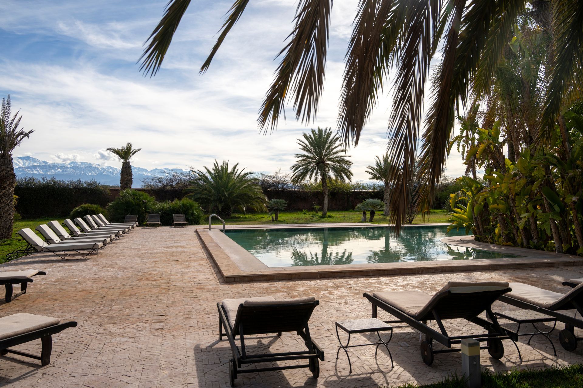 Piscine, transats et palmiers avec les sommets enneigés du Haut Atlas à l'horizon