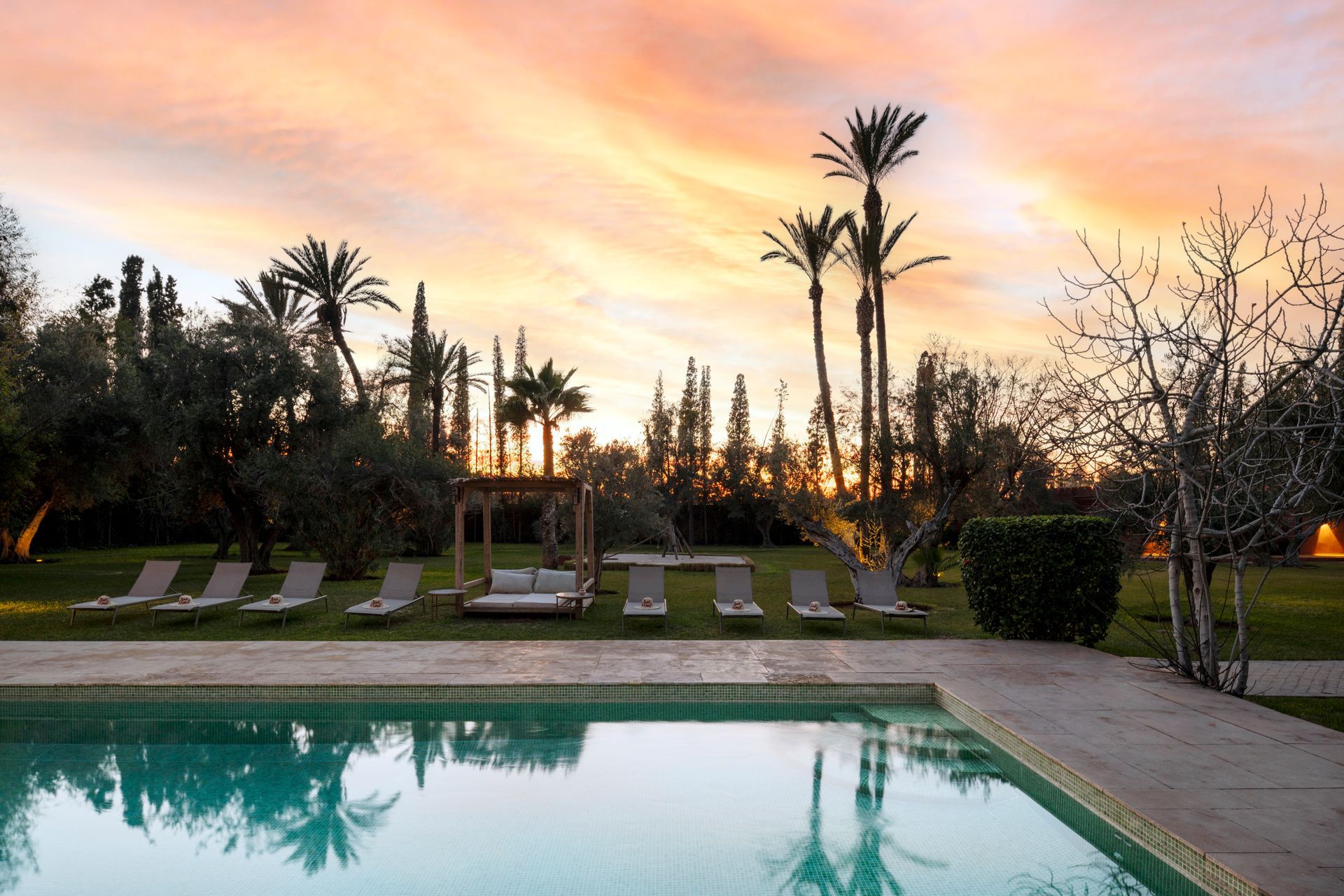 The pool and palm grove at Bab Akoul Palmeraie at dusk, outside Marrakech