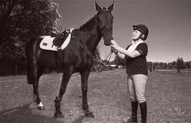 BACK IN THE SADDLE