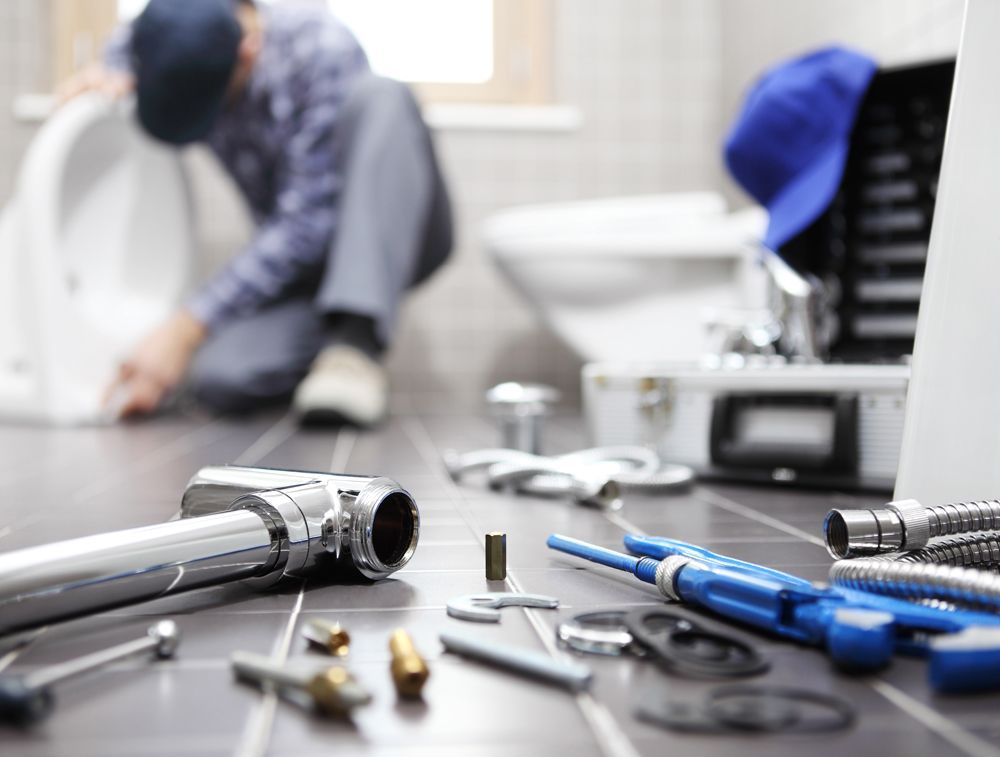 Professional Plumber