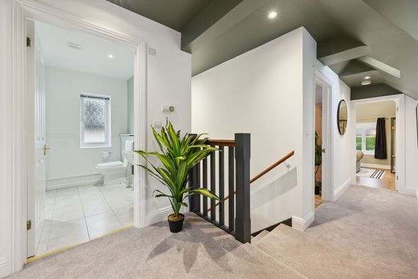 Hallway with stairs, bathroom, and bedroom entrances. Green ceiling, gray carpet, and potted plant.