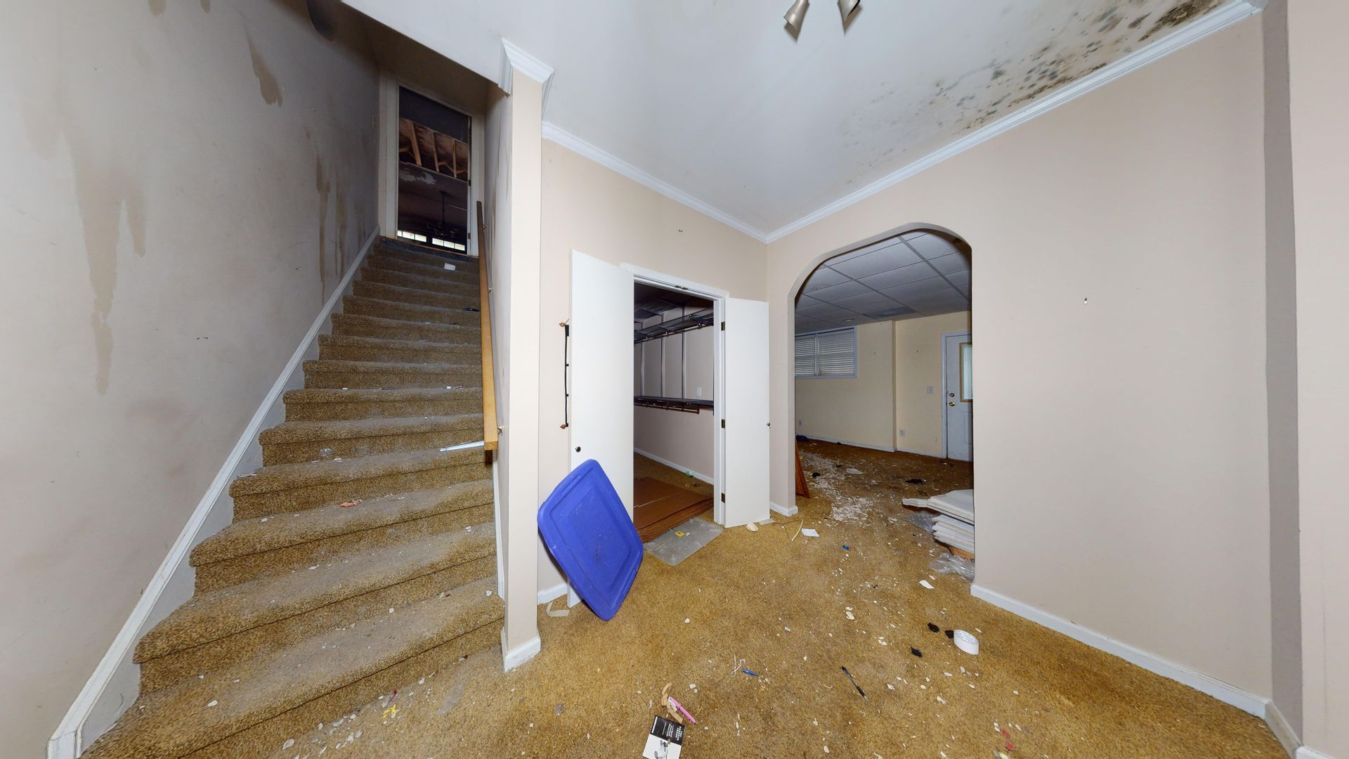Structure Cleaning job in Snellville GA