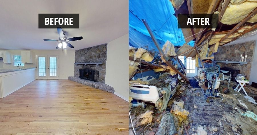 When a Tree Came Through the Roof: A Stone Mountain Water Damage Recovery