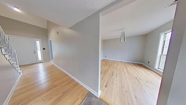 Hallway and living room after professional cleanup
