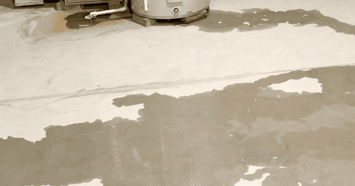 Why Professional Water Damage Repair is a Must