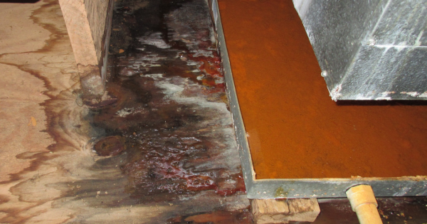 7 Water Damage Repair Mistakes to Avoid